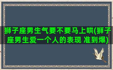 狮子座男生气要不要马上哄(狮子座男生爱一个人的表现 准到爆)